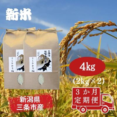 ふるさと納税 三条市 先行受付 [定期便4kg×3か月] 新潟県産 こしひかり 4kg(2kg×2袋) 【030S035】