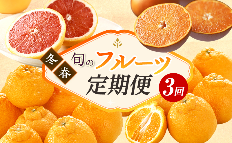 【2027年2月上旬より発送】浜松市の柑橘定期便 3回（2月～4