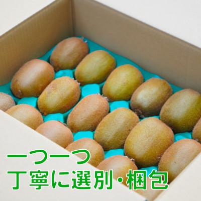 ふるさと納税 松山市 家庭用 キウイフルーツ 1.5kg (約18玉) 愛媛県産 2027年1月上旬〜2月下旬 |  | 02
