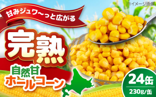 ＼リピーター続出！／ 自然甘ホールコーン 24缶（C7号缶）《喜茂別町》【きもべつ観光協会】 コーン コーン缶 とうもろこし トウモロコシ 北海道 常温 常温配送 [AJAG009] 19000 19000円