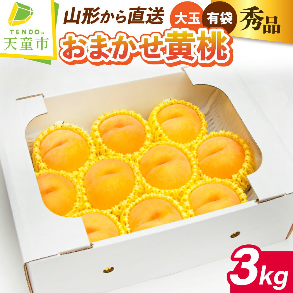 【ふるさと納税】もも ( 大玉 黄桃 ) 約 3kg 秀 6～11玉 品種おまかせ 令和8年産 先行予約 2026年 有袋 桃 黄色 人気 おすすめ フルーツ 果物 くだもの 山形 お取り寄せ 産地直送 送料無料 【 山形県 天童市 】