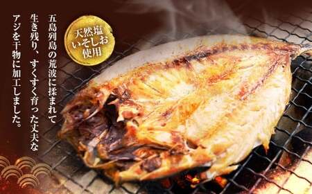 【全6回定期便】長崎産 真アジ一夜干し たっぷり21尾 ／ 海鮮 魚介 干物 ひもの あじ 鯵 アジ 長崎県 長崎市