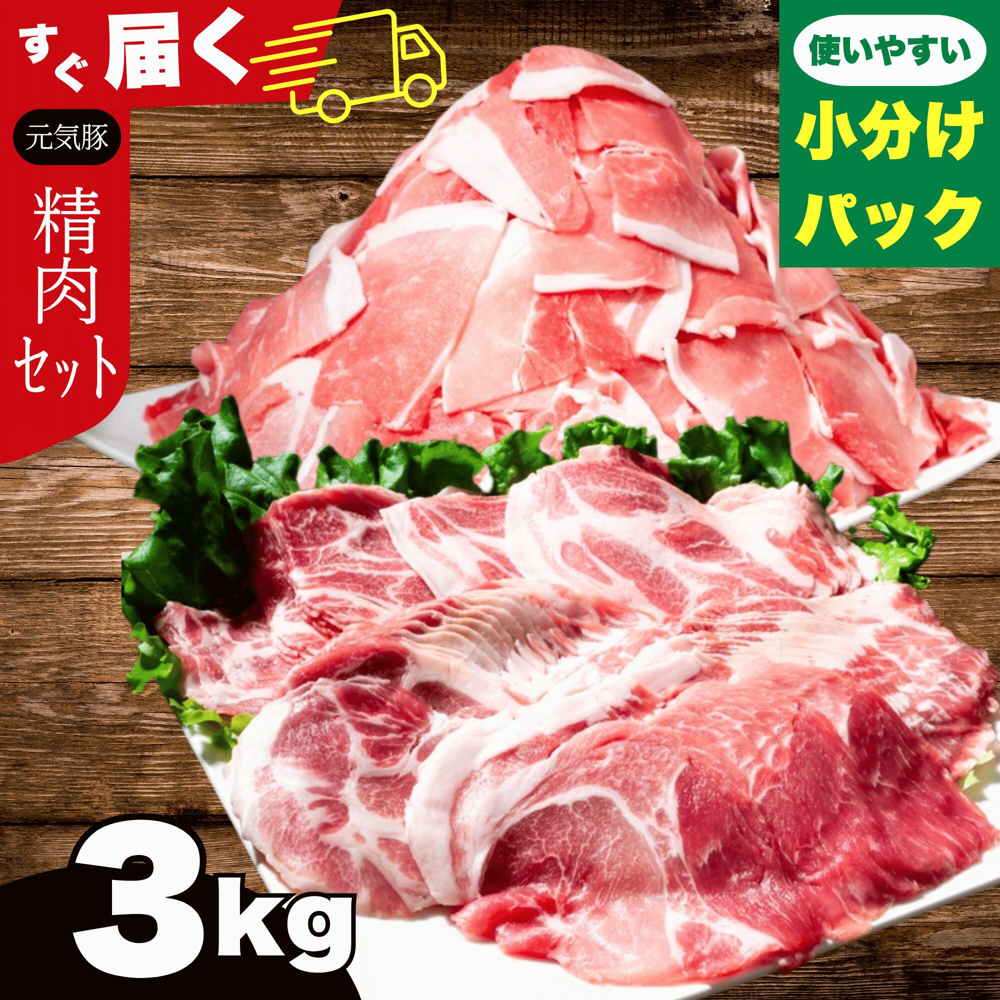【ふるさと納税】【農場直送】千葉県産三元豚 ブランド 元気豚 精肉セット 3kg 豚肉の切り落とし 豚ロースしゃぶしゃぶ 小分けパック 国産豚肉 炒め物 豚丼 冷凍 送料無料 【配送不可地域：離島・沖縄県】MT203971_05