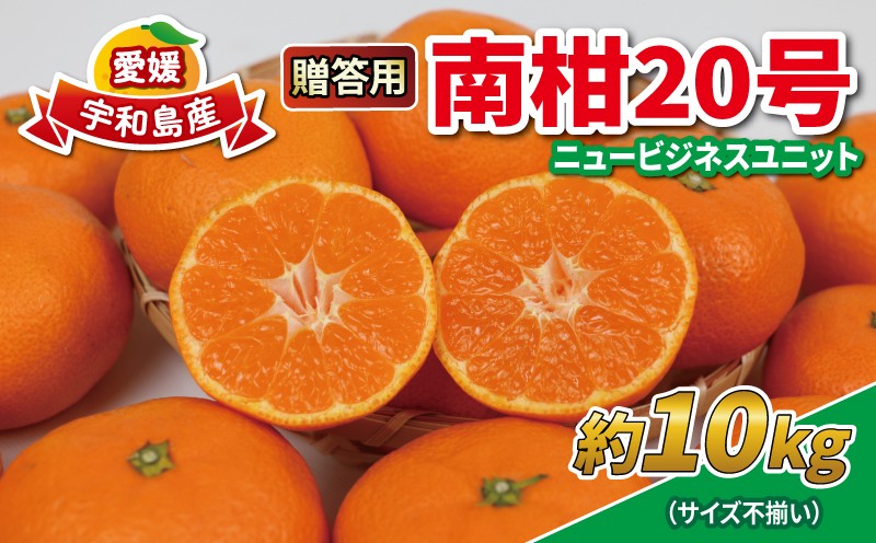 
                  みかん 10kg 贈答用 優品 愛媛 南柑20号 サイズ不揃い 玉津みかん ニュービジネスユニット 先行予約 温州 温州みかん 果物 くだもの フルーツ 柑橘 蜜柑 mikan 温州 愛媛ミカン 愛媛蜜柑 愛媛みかん 国産 産地直送 数量限定 宇和島 B018-058005
                