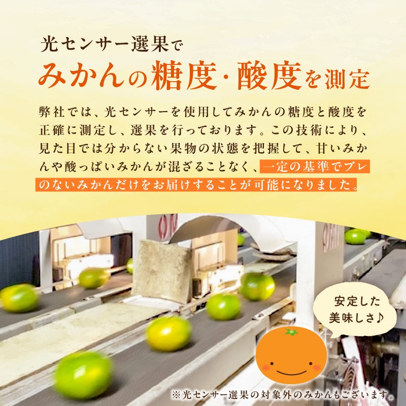 【2026年発送 先行予約品】