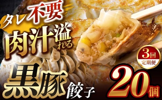 【定期便3回】肉汁 溢れる『 黒豚餃子 』 20個 | 餃子 ぎょうざ お手軽 小分け 冷凍 冷凍食品 おかず 豚肉 熊本県 玉名市