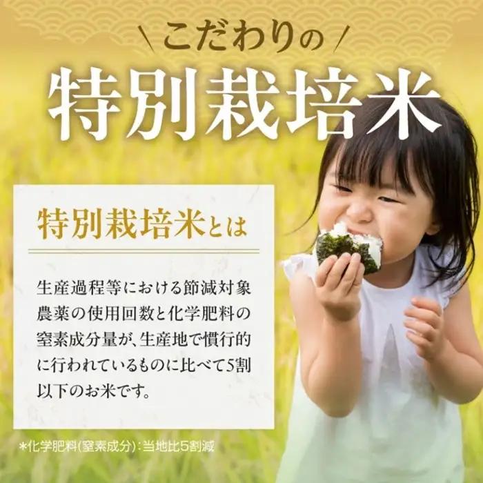 精米 10kg 夢ごこち 特別栽培米 / 002312C
