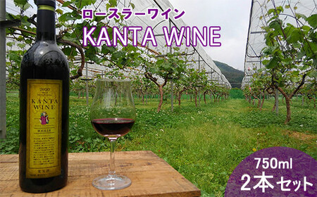 ロースラー ワイン KANTA WINE 2023（赤） 750ml×2本セット 【967】