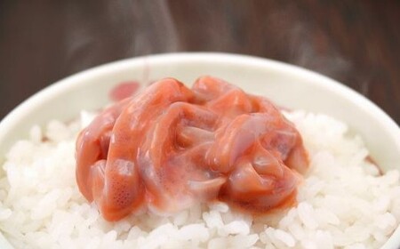 珍味 三陸産スルメイカ 塩辛 おすすめ5本セット