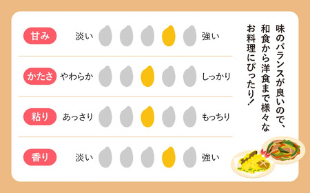 【新米予約】宮城県産 ひとめぼれ無洗米 10kg×10回定期便 ひとめぼれ