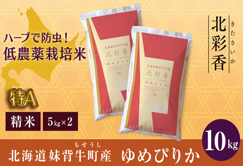 令和6年産 妹背牛産 新米予約 【北彩香（ゆめぴりか）】 白米 10kg（10月発送）