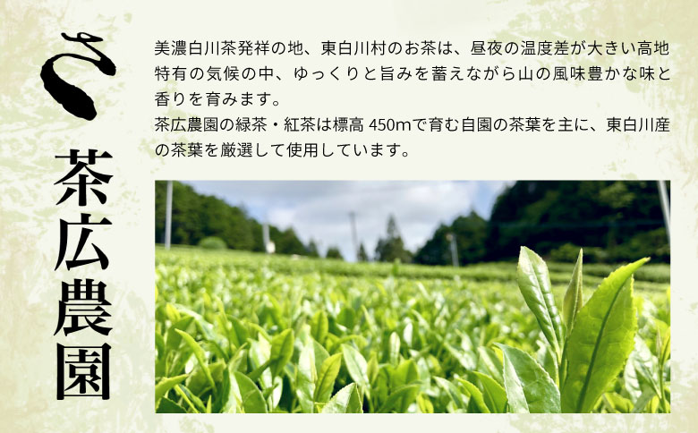 【2025年産新茶・先行受付】新茶 美濃白川茶 50g×4袋 初摘み 東白川村産 岐阜県産 お茶 日本茶 ホット アイス おためし 送料無料 クリックポスト 50g×4袋