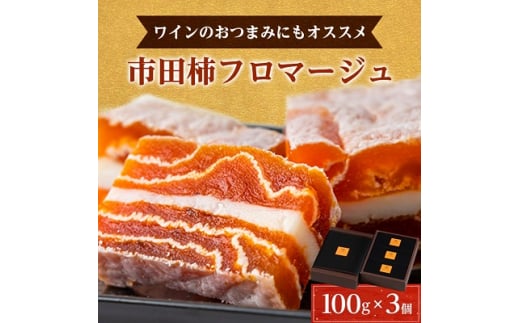 ＜ ワイン の おつまみ にも オススメ ＞ 市田柿 フロマージュ 100g × 3個 _ 柿 干し柿 干しがき 果物 フルーツ 干柿 おやつ お菓子 【1033714】