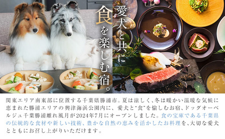 宿泊 離れ 風月 ドッグオーベルジュ 宿泊補助券 3万円分《30日以内に出荷予定(土日祝除く)》離れ 風月 千葉県 勝浦市 ホテル お食事 犬 ワンちゃん わんちゃん ドッグラン ドッグフード ペット