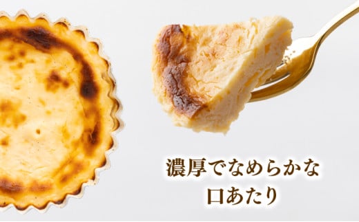 大黒屋菓子舗の濃厚バスクチーズケーキ AB002