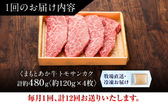 【全12回定期便】【GI認証】くまもとあか牛トモサンカク 約120g×4枚 / 菊陽町 あかうし 熊本県 肉 にく niku ブランド 旨み 【有限会社 三協畜産】 [BHAS080]