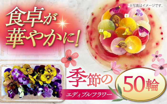 
            季節のエディブルフラワー50輪おまかせ ▼ ガーニッシュ 食用花 花 食べられる花 地域特産 装飾 料理 桂川町/NOGAMI FARM[ADAU001]
          