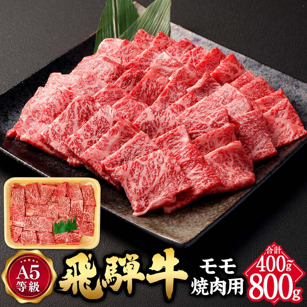 【ふるさと納税】飛騨牛 焼肉用 モモ肉 ＜選べる内容量＞ 約400g / 計800g A5 等級 | 肉のかた山 岐阜県産 国産 牛 牛肉 お肉 ブランド牛 和牛 黒毛和牛 お祝い 焼き肉 ギフト A5等級 贈り物 キャンプ BBQ 送料無料