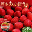 【ふるさと納税】【2025年2月上旬より発送】先行予約！農家直送 朝採り新鮮いちご【博多あまおう】約270g×2＜株式会社H&Futures＞ 那珂川市 いちご フルーツ くだもの 果物 あまおう 九州産 苺 国産 [GDS003]9000 9000円