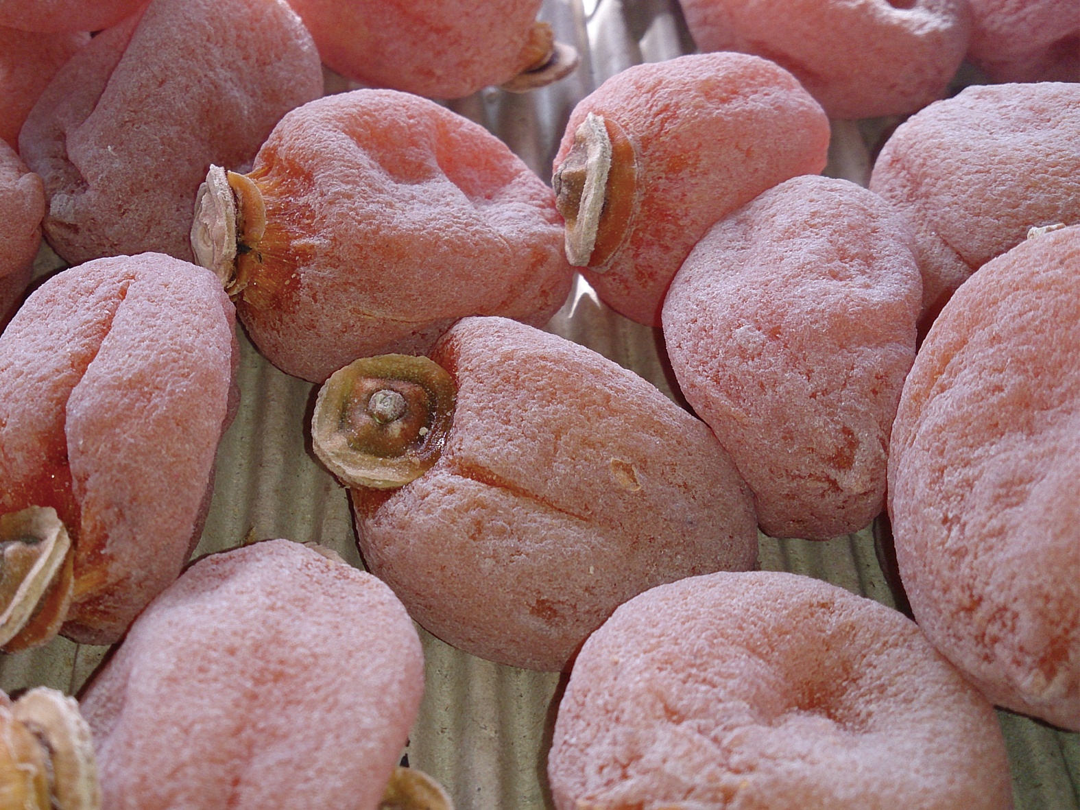 【市田柿専門店 金の柿】市田柿 自家用250g×2袋（500g） 2026年1月発送開始 長野県 信州 南信州 高森町 柿 干し柿 かき 高級 和菓子 お茶請け ご家庭用 ドライフルーツ 自然食品 ア