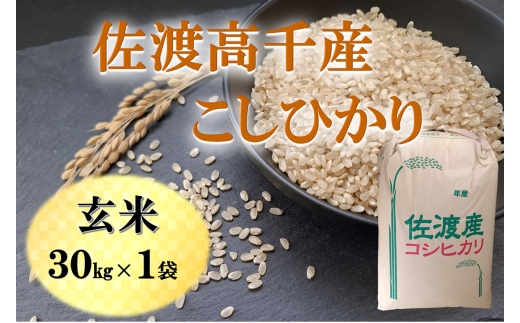 【令和7年産】佐渡高千産こしひかり 玄米30kg ドンデン山の水で栽培 家庭用精米機に | 新潟県産コシヒカリ 新潟産コシヒカリ 佐渡産コシヒカリ 新潟県産こしひかり 佐渡産こしひかり 高千 お米 米 こしひかり 玄米 げんまい おこめ コメ 30キロ 大容量 業務用 にいがた さど 新潟県 佐渡市