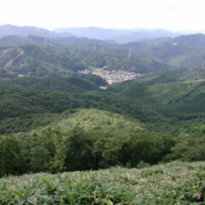 【農業・自然体験】お米づくり、野菜の収穫、ホタル観賞、川遊び 標高500mの集落で特別な田舎体験 | 天王恵み会