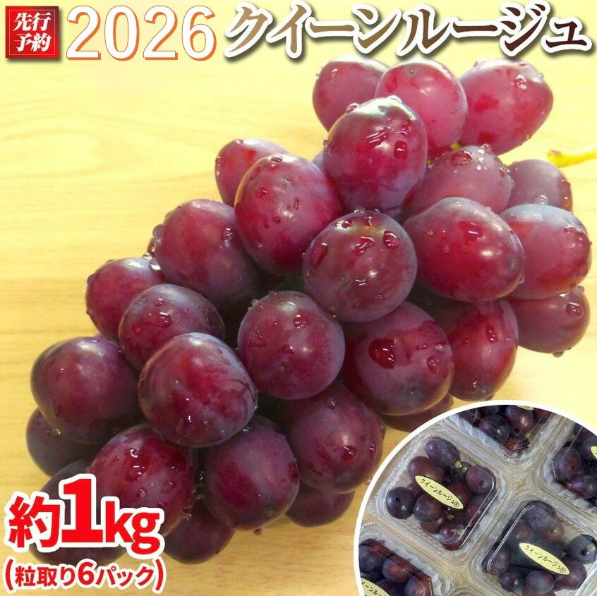 【ふるさと納税】【先行予約】 A 2026 P クイーンルージュ®粒どり6パック 約1kg弱 (2026年10月初旬頃～順次発送予定）長野県産 国際特許有機肥料栽培 | フルーツ 果物 くだもの 食品 人気 おすすめ 送料無料