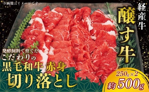 先行予約1月～ 黒毛和牛 赤身切り落とし 約500g (250g×2) 冷凍 経産牛 切り落とし 小分け パック 赤身 肉 牛肉 国産 切落し 赤身肉 国産牛肉 国産牛 牛肉 便利 お手軽 ご褒美 冷凍牛肉 お肉 切り落し お米 に合う こめ に合う コメ と合う 赤身 お肉 赤み 切り落し 切り落とし 牛 きりおとし 切落し ふるさと納税切り落とし 人気 おすすめ 愛知県 南知多町