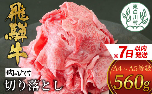 【7営業日以内に発送】 飛騨牛 切り落とし 560g A5等級 A4等級 肉のひぐち 10000円