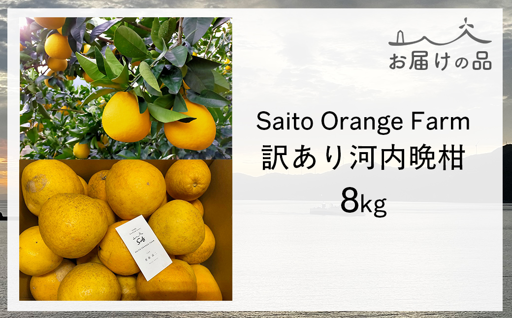 【先行予約】Saito Orange Farmの訳あり河内晩柑8kg ※2027年4月下旬頃より順次発送予定 IKTAQ005
