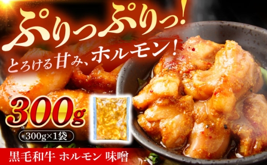 岐阜県産 黒毛和牛ホルモン 味噌 300g （300g×1袋） 瑞浪市 / マルチョウ渡辺精肉店 和牛ホルモン 焼肉 炒め 国産 [AZCW052]