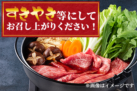 ＜宮崎牛ウデスライス400gと宮崎県産和牛小間切れ200g総量600g＞【数量限定】【MI142-my】【ミヤチク】