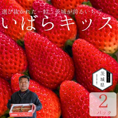 特別栽培農産物 いばらキッス 2パック 茨城県オリジナルブランドいちご【拓実の会(濱野いちご園)】【配送不可地域：離島・沖縄】【1710007】