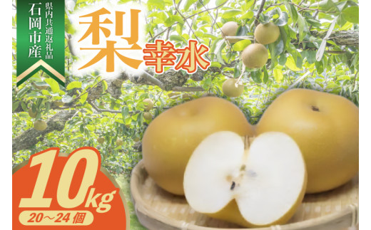 ＜2025年8月より順次発送予定＞幸水　10kg　20～24個(県内共通返礼品:石岡市産) (BR050)