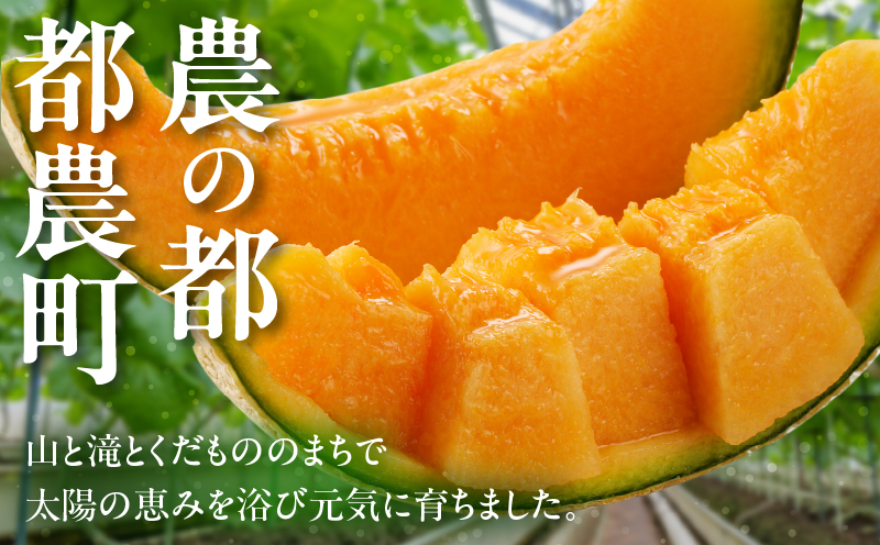 先行予約≪期間限定≫hiro君ハウスのアールスメロン(赤肉)計3kg以上(化粧箱入り) フルーツ 果物 国産_T022-0011