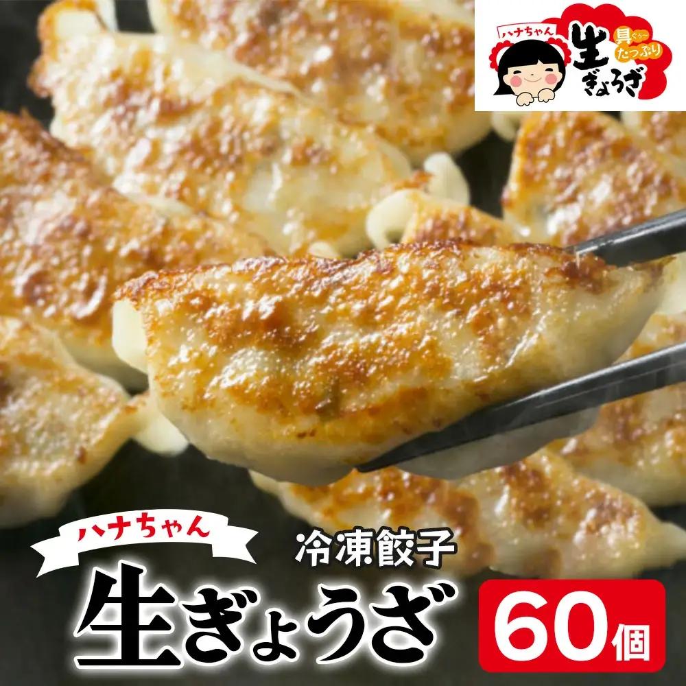 ハナちゃん生ぎょうざ 冷凍餃子 60個セット [0745]