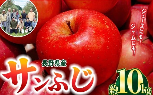 【林檎の名産地】信州松本梓川産　サンふじ  10kg(25～50玉)｜ふるさと納税 松本市 サンふじ りんご 林檎  果物 フルーツ 信州 美味しい