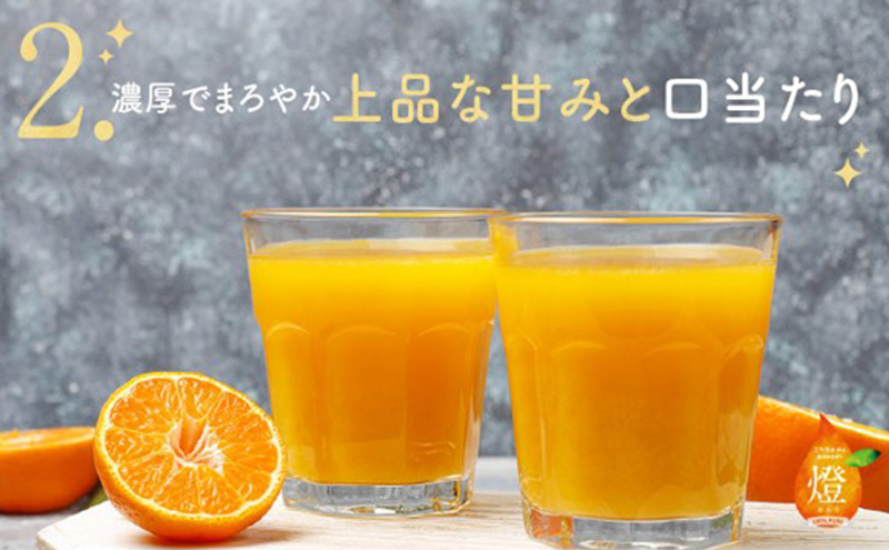 三ヶ日みかん生搾りジュース燈（あかり）【180ml×6本入】 みかん ジュース 濃厚 三ヶ日みかん青島 生搾り 100%ジュース 静岡 浜松市