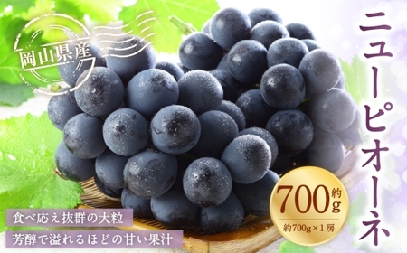岡山県産 ニューピオーネ 約700g （ 約700g×1房 ） ぶどう ブドウ 葡萄 くだもの 果物 果実 フルーツ 種なし 種無し 国産 【 2026年6月下旬～7月下旬発送予定 】