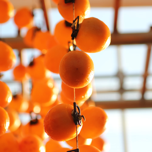 【長野県産】南信州に伝わる伝統の味「市田柿」300g×3袋 ＜2025年1月上旬より発送＞