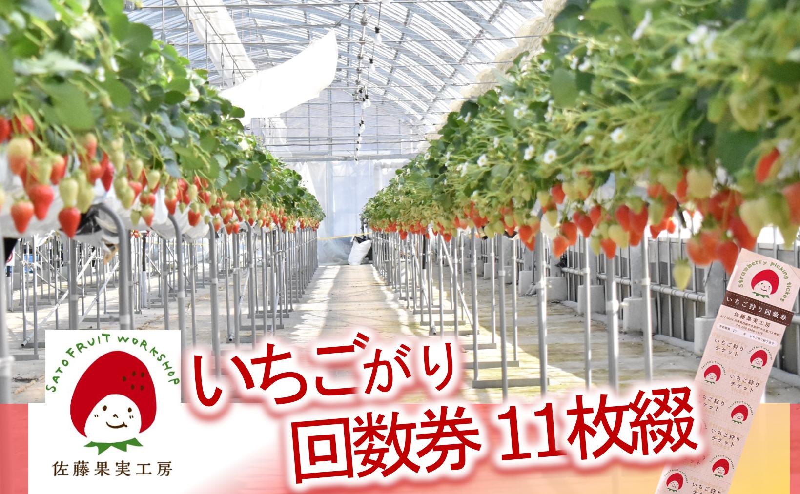 
                  佐藤果実工房のいちご狩り回数券（11枚綴り）【佐藤果実工房 全国いちご選手権銀賞受賞農園 TVで紹介!】
                