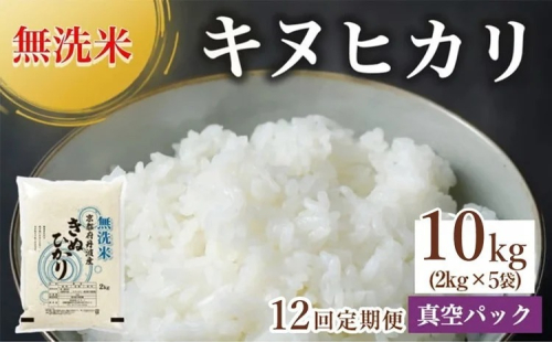 【12回定期便】無洗米真空パック 10kg×12回 ※北海道・沖縄・その他離島への配送不可