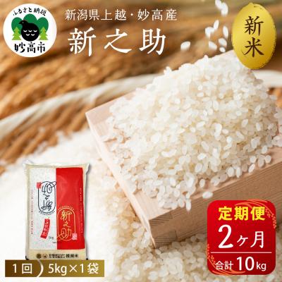 ふるさと納税 妙高市 2025年10月中旬より発送【定期便】令和7年産新潟県上越・妙高産新之助5kg×2回(計10kg)