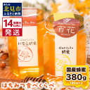 【ふるさと納税】《14営業日以内に発送》国産蜂蜜 はちみつ食べ比べセット 190g×2本セット ( はちみつ ハチミツ 蜂蜜 ハニー 食べ比べ セット ふるさと納税 北見市 北海道北見市 種田養蜂場 はち ミツバチ )