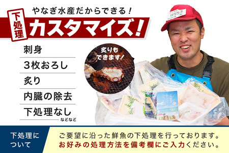 【定期便】この男、極める！～浜田の旨い鮮魚12か月毎月お届けコース～ ふるさと納税 定期便 鮮魚 魚介類 魚貝類 お楽しみ定期便 【543】