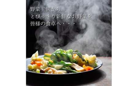 【6ヶ月定期便】野菜と加工品「なだろう」セレクトボックス