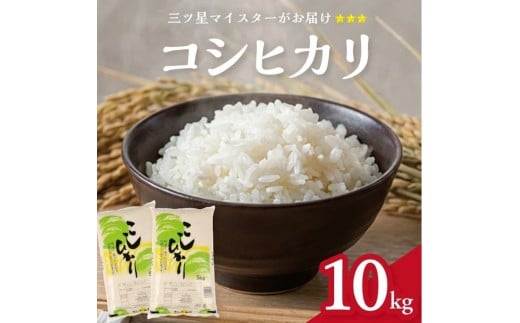 令和7年産【精米】庄内産 コシヒカリ　10kg(5kg×2袋) SA SD0248