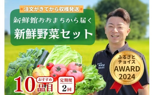 【定期便 全2回】産地直送 新鮮野菜セット《10品以上》 旬野菜 詰め合わせ 採れたて 定期便 季節 野菜 おまかせ 旬 春野菜 夏野菜 秋野菜 果物 新鮮 岩手県産 国産 詰め合わせ 定期便 定期 人気 岩手県 一関市
