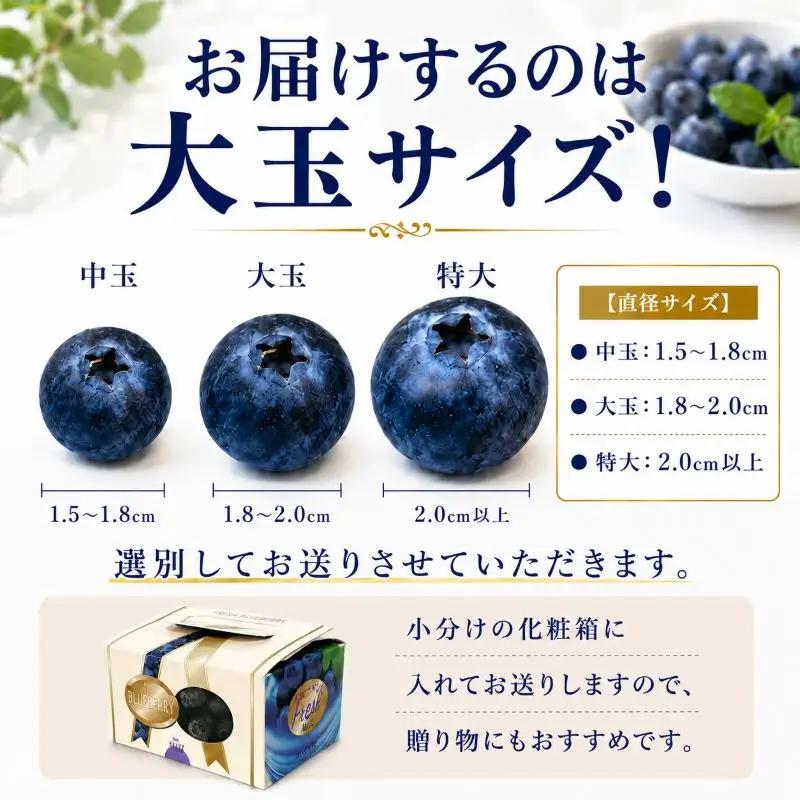 【7月以降発送】完熟 ブルーベリー 大玉 750g (150ｇ×5) 北田りんご園 kitada003