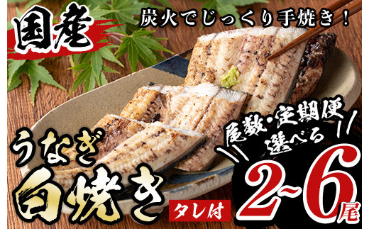 
            《尾数・定期便選べる！》タレ付き！国産うなぎ白焼き(計2～5尾/定期便:2尾×3回) 九州産 鰻 ウナギ 有頭 魚 魚介類 かばやき 蒲焼 蒲焼き しろやき 白焼 内容量選べる えらべる おかず 特産品 土用 丑の日 お土産 ギフト プレゼント 冷蔵 送料無料【尾方屋】
          